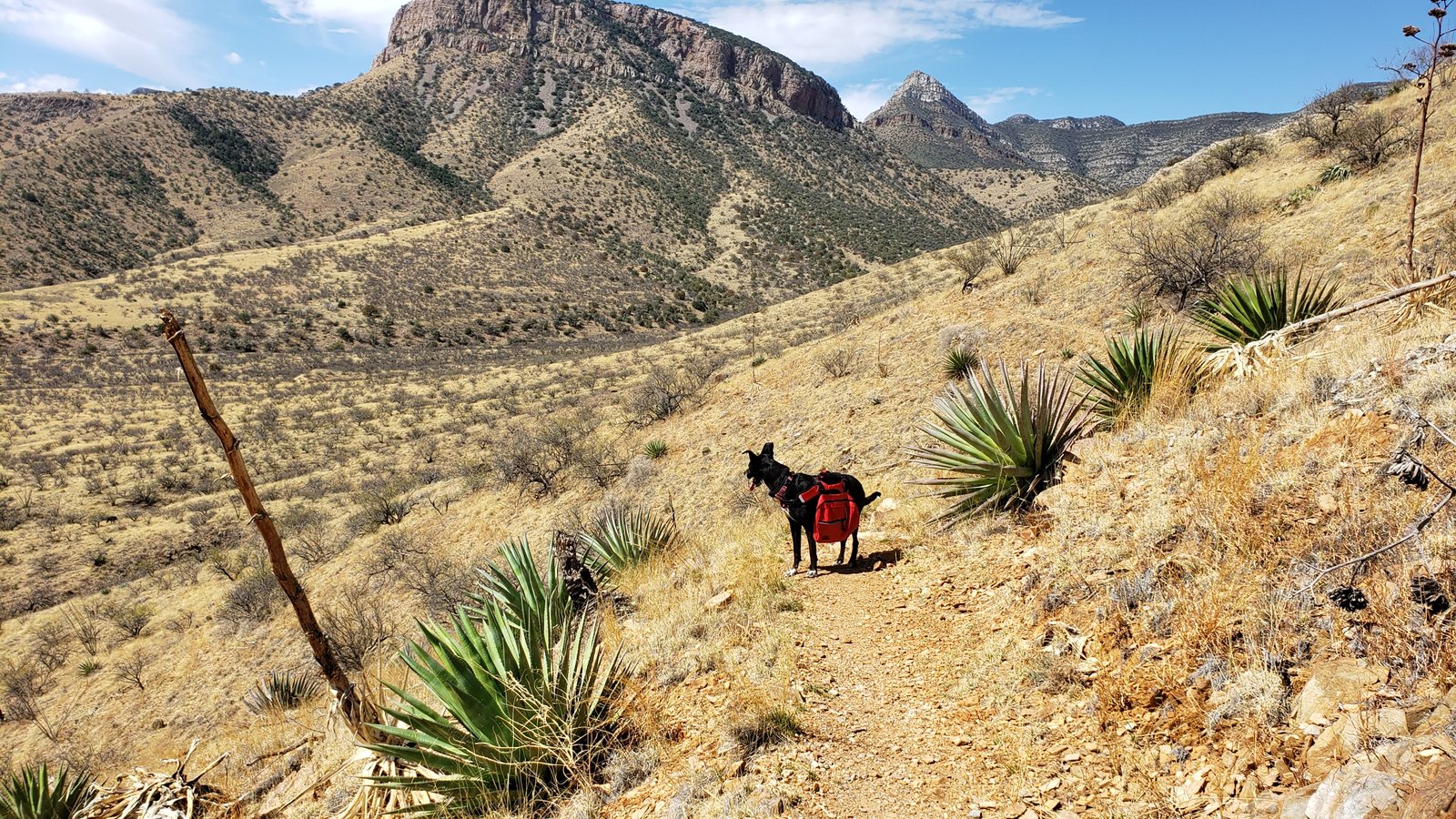 Kartchner Caverns State Park