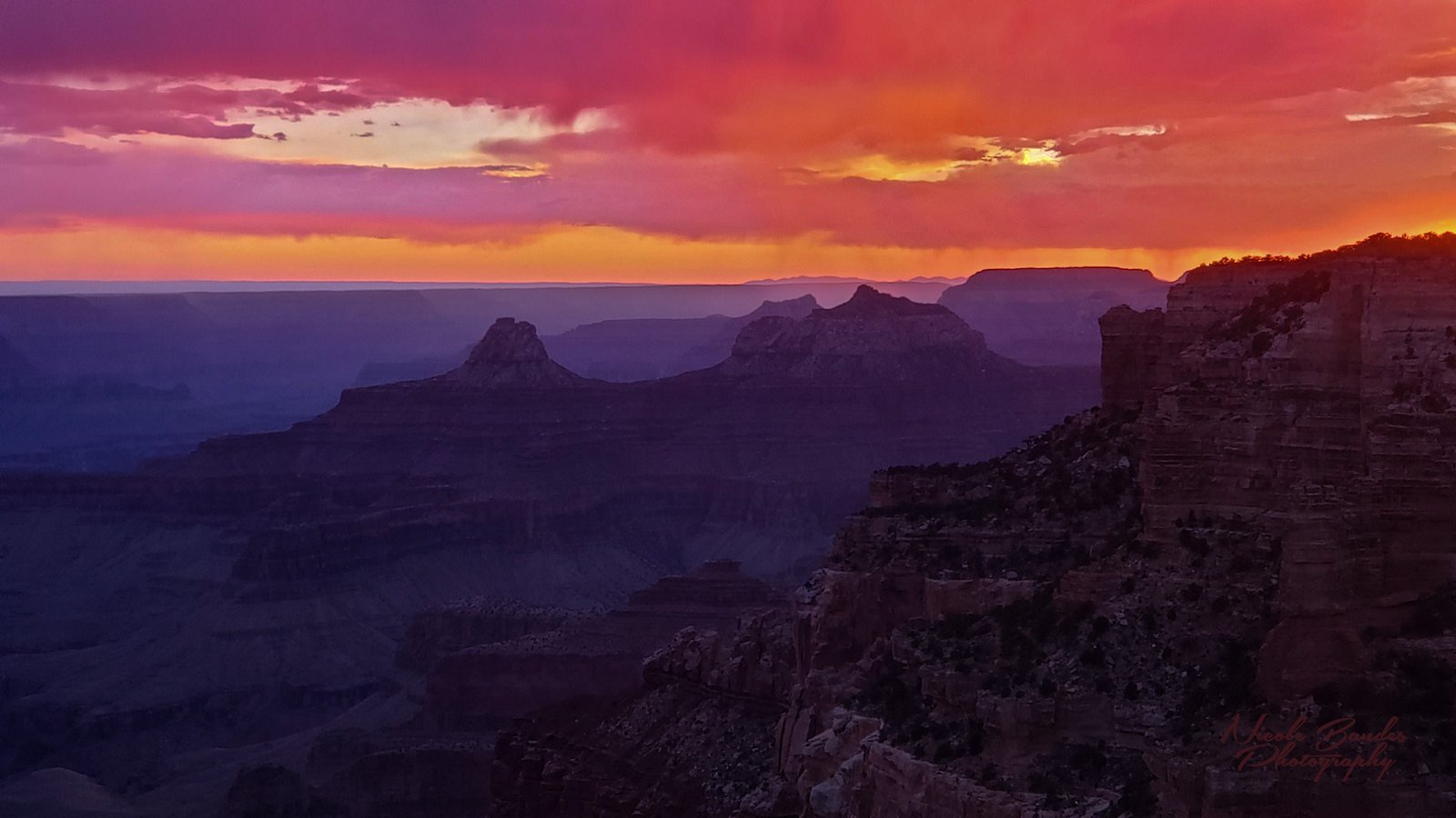 Grand Canyon North Rim: Hangin’ With the Neighbors